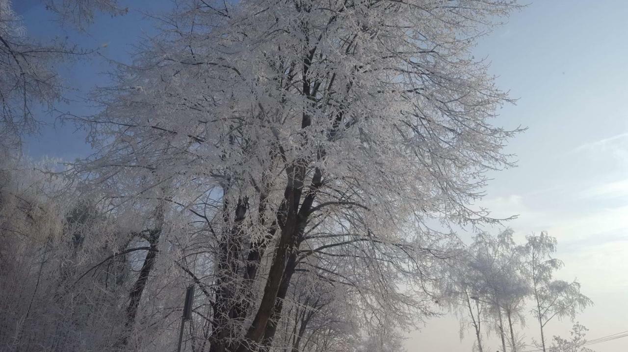 Stas -Przy Szkole Nr 3 W Skawie Skawa Экстерьер фото