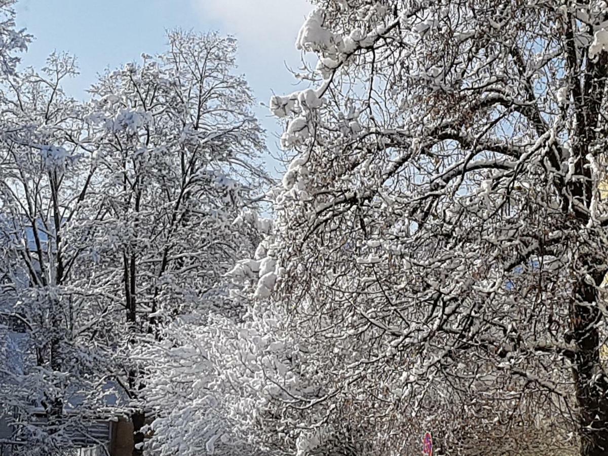 Stas -Przy Szkole Nr 3 W Skawie Skawa Экстерьер фото